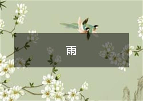 雨