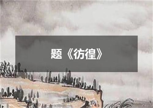 题《彷徨》