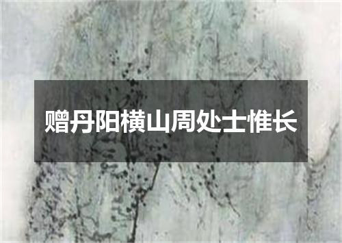 赠丹阳横山周处士惟长