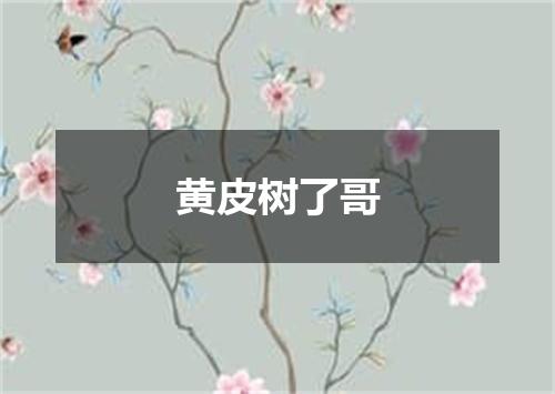 黄皮树了哥