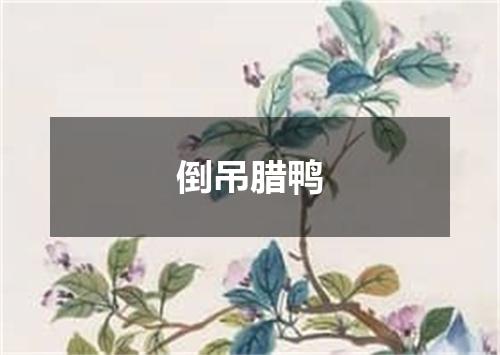 倒吊腊鸭