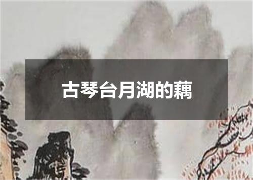 古琴台月湖的藕