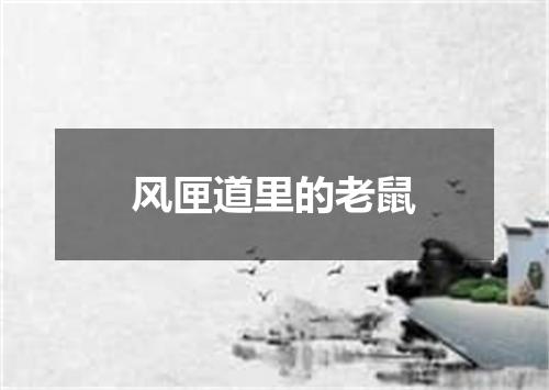 风匣道里的老鼠
