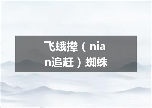 飞蛾撵（nian追赶）蜘蛛