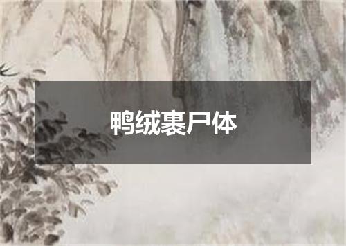鸭绒裹尸体