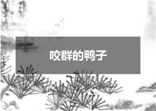 咬群的鸭子