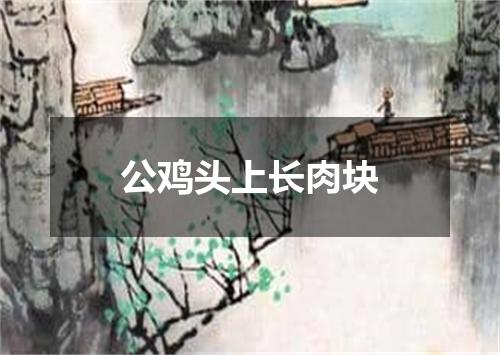 公鸡头上长肉块
