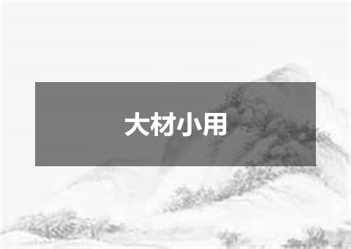 大材小用