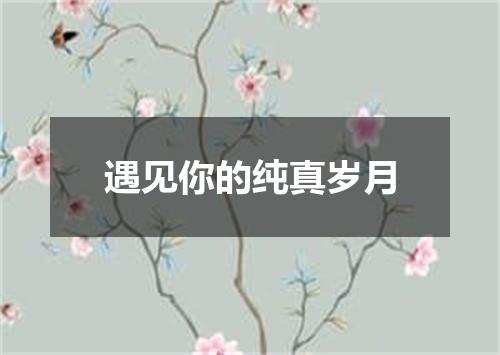遇见你的纯真岁月