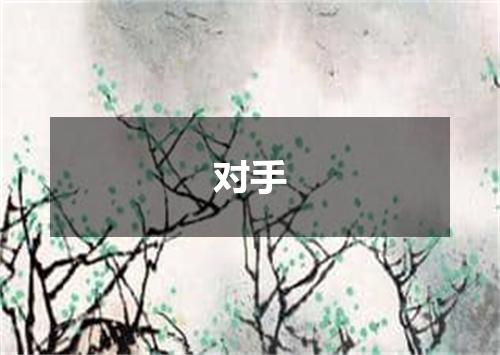 对手