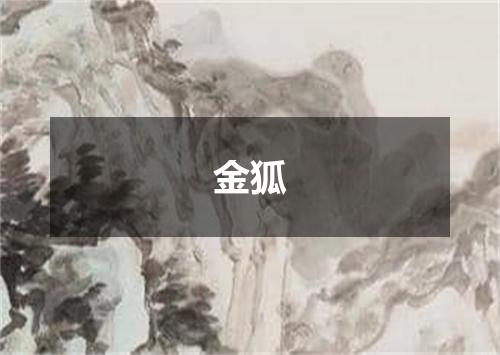 金狐